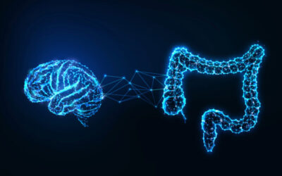 Gut-Brain Connection